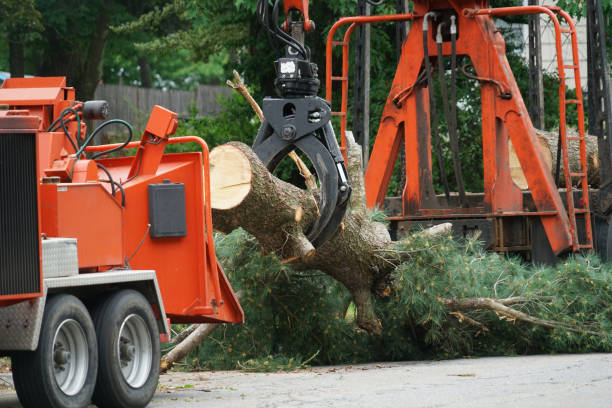 Catoosa, OK Tree Service Company